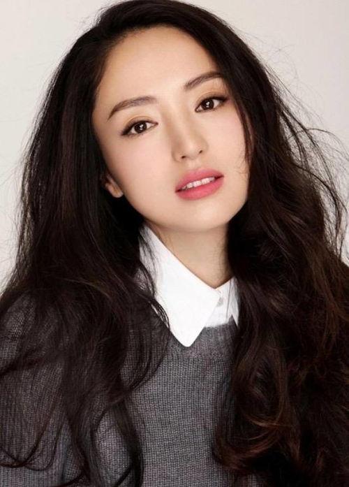 董璇大陆明星系列