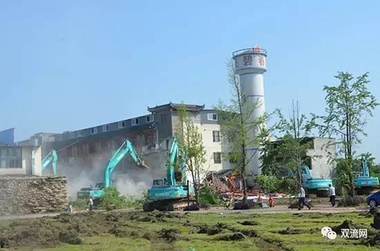 广西双流违建新闻头条,揭秘背后真相与整治行动