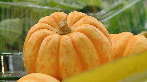 日本小桔瓜怎么吃,日本小桔瓜的多样食法探索