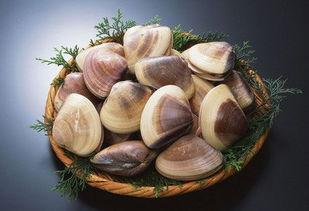 今日头条美女捉花蛤,一场别开生面的田园捕捞之旅