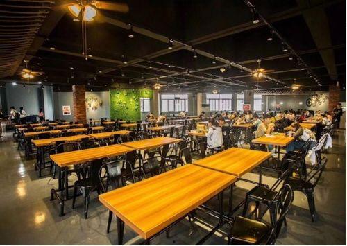 武传网红食堂建造,打造校园美食新地标