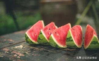 过了吃瓜季节,回味悠长的夏日时光