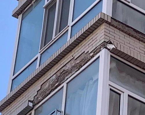 白城小区今日头条爆料,今日头条最新爆料揭秘真相