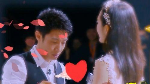 撒贝宁爆料王鸥视频,揭秘背后惊人真相