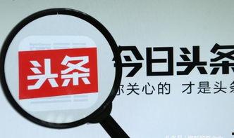 头条号爆料需要多久回复,约需30分钟