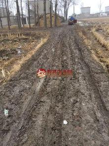 寿县论坛最新爆料,揭秘当地最新热点事件