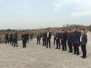 卫辉市青龙镇新闻头条,聚焦乡村振兴新篇章