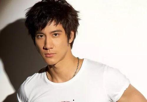 王力宏很像的明星,揭秘那些令人惊艳的相似面孔