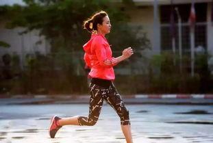 中国的运动明星,荣耀时刻与辉煌成就集锦