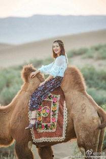 明星骆驼驰,沙漠中的璀璨明星