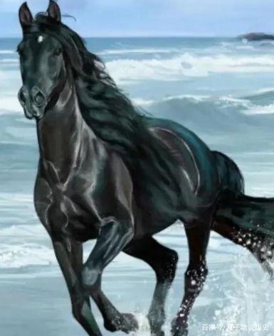 马什么吉明星,璀璨星途与传奇人生