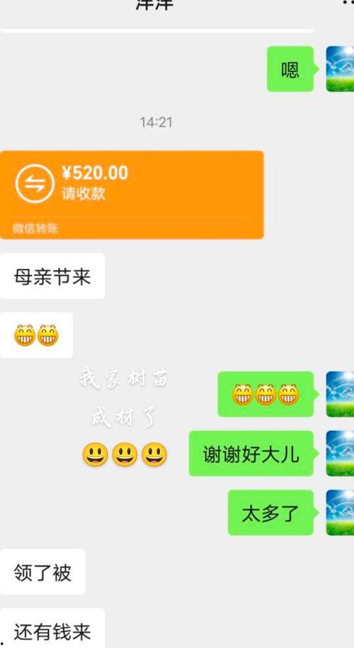 头条怎么回到原来的账号