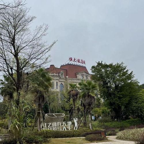 新会网红露营在哪里