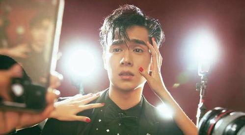 金牛男明星,揭秘娱乐圈金牛男明星的独特风采