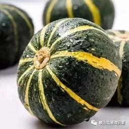 寿光文家吃瓜,瓜香四溢的田园生活画卷