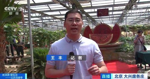 临邑翟家吃瓜新闻,一场引发热议的乡村奇闻