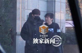 圈内爆料杨洋宋茜,圈内爆料引粉丝热议