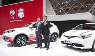 mg足球明星,mg足球明星闪耀绿茵场