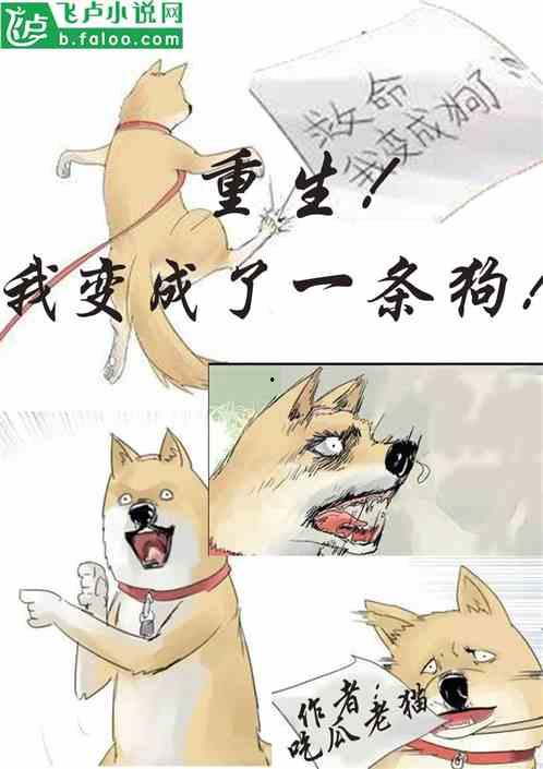 小说我有吃瓜系统,穿越时空的美食之旅