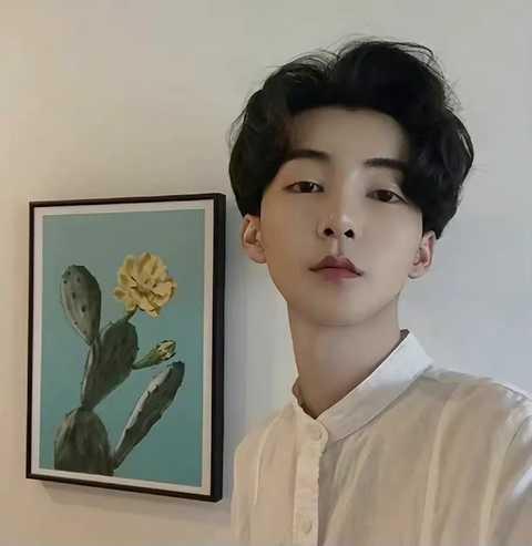 知名网红李由,从网络红人到影响力领袖的蜕变之路