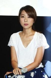 台湾 明星 陈,闪耀娱乐圈的璀璨星辰