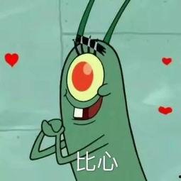 痞老板吃呆瓜,痞老板的呆瓜美食之旅